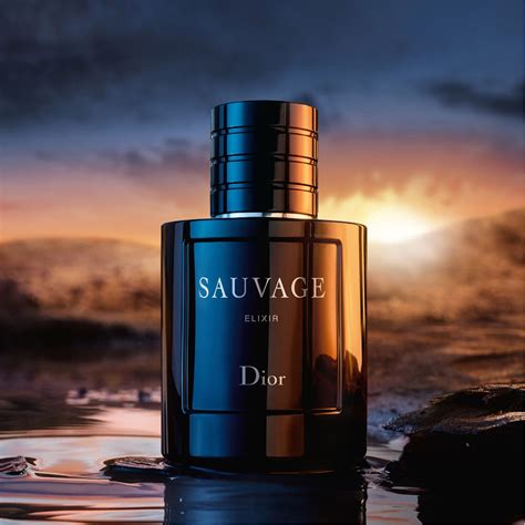 dior sauvage élixir|dior sauvage elixir best price.